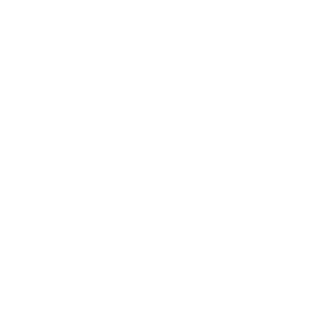 IEEE Students