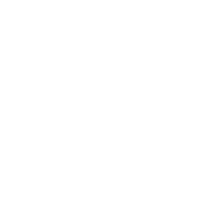 SB RIT